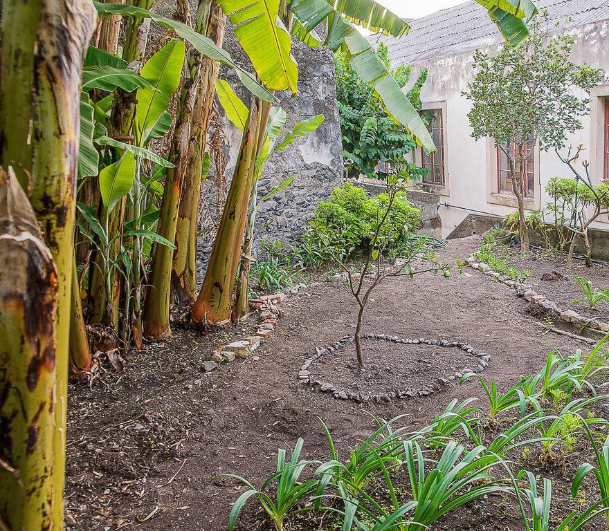 Vitorina Corte Guesthouse Funchal  Exteriér fotografie